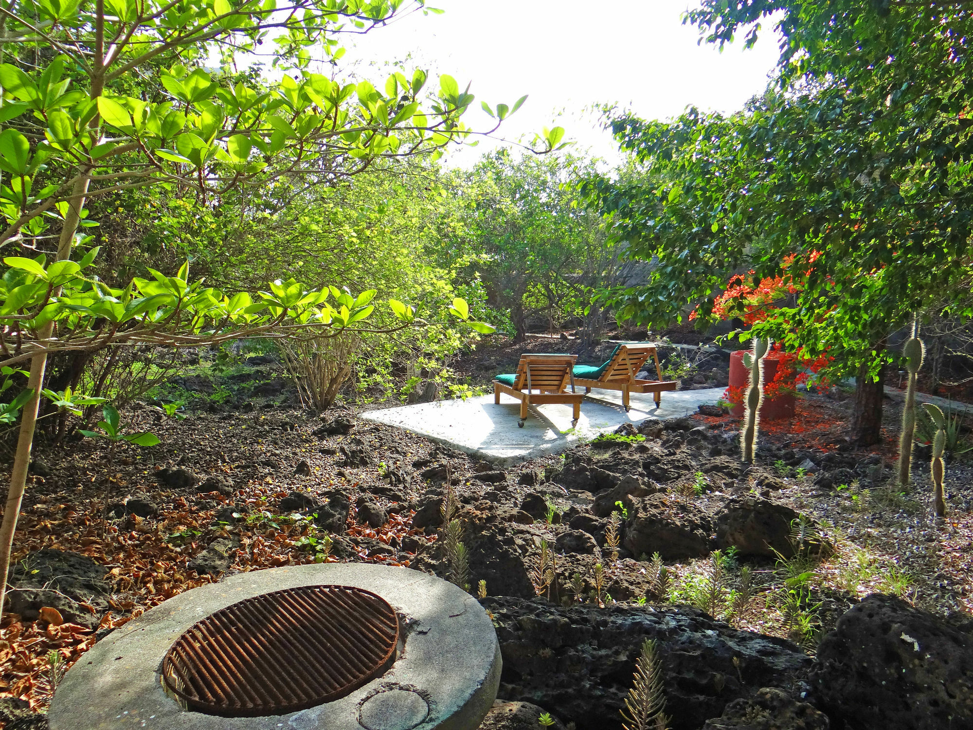 Galapagos Chalet Puerto Ayora  Exterior photo
