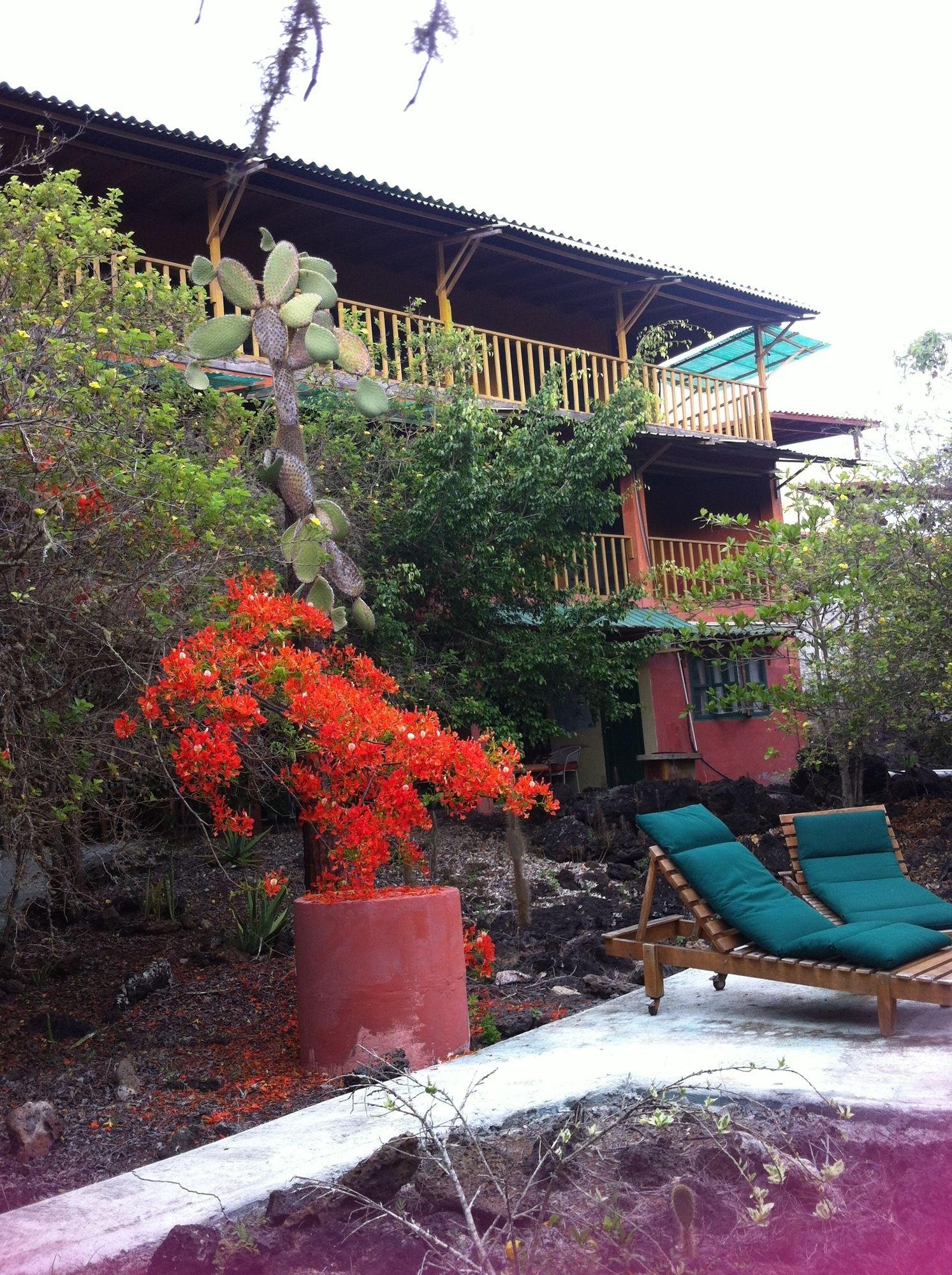 Galapagos Chalet Puerto Ayora  Exterior photo